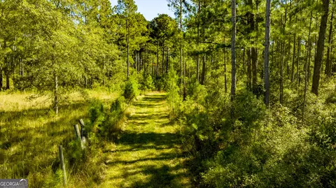 0 Bay Branch Rd, Claxton, GA 30417 photo 52