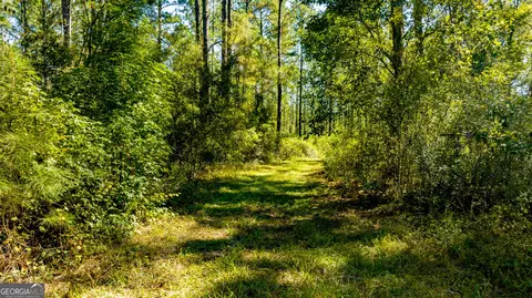 0 Bay Branch Rd, Claxton, GA 30417 photo 32