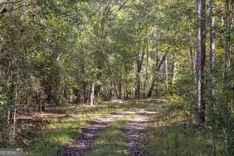 2947 Ivey Ave, Claxton, GA 30417 photo 22