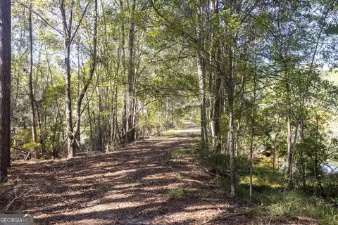 2947 Ivey Ave, Claxton, GA 30417 photo 37