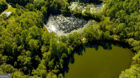 2947 Ivey Ave, Claxton, GA 30417 photo 9