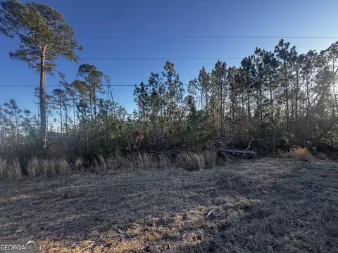 0 Hwy 107, Denton, GA 31532