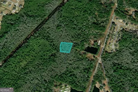 1 17 Acres Elam Rd, Hinesville, GA 31313