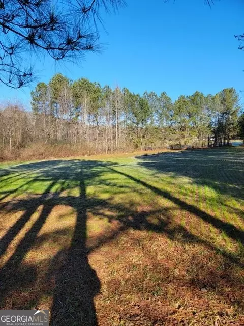 0 Mansfield Rd, White, GA 30184 photo 18