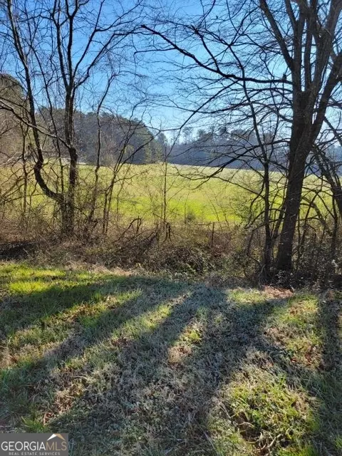 0 Mansfield Rd, White, GA 30184 photo 21