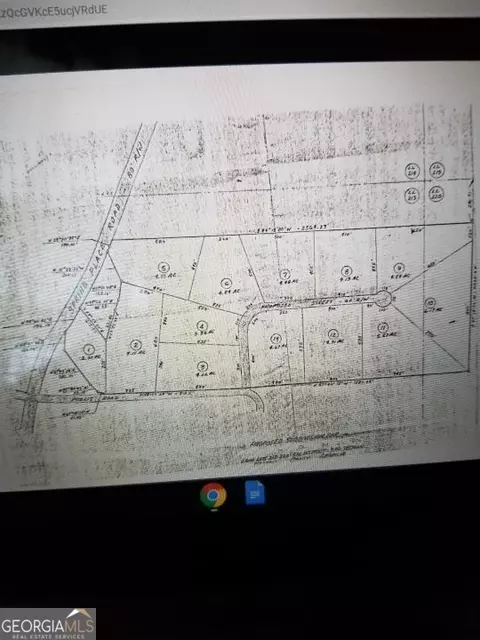 0 Mansfield Rd, White, GA 30184 photo 16