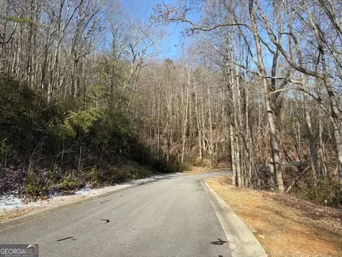Lt 1502 Raspberry Lane, Clarkesville, GA 30523