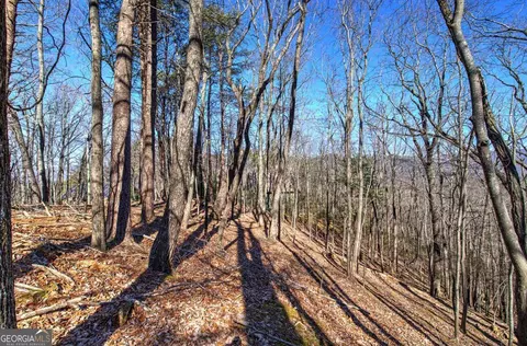 0 Walnut Mountain Rd, Ellijay, GA 30536