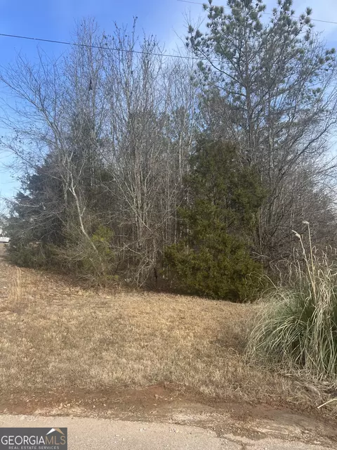 198 Gregory Dr, Martin, GA 30557