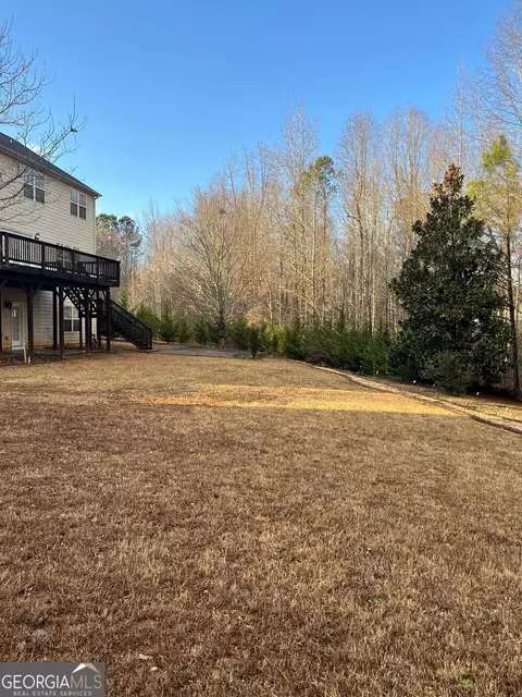 Exterior - 1209 Pendley Pt, Hampton, GA 30228 photo 13 of 14