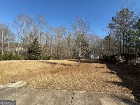 Exterior - 1209 Pendley Pt, Hampton, GA 30228 photo 8 of 14