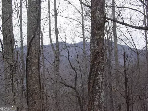 APT 17 Roaring Ridge, Hiawassee, GA 30546
