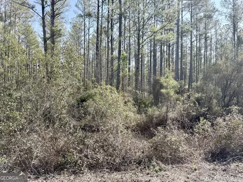 18 Satilla Plantation, Waynesville, GA 31566