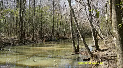 0 Elko Rd, Unadilla, GA 31091