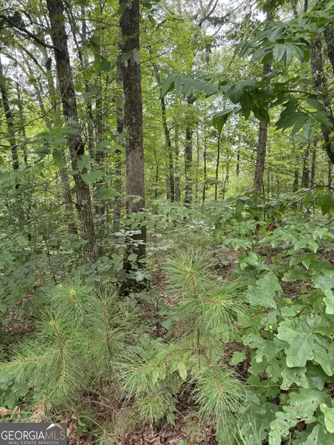 lot5 Harris Creek Dr, Ellijay, GA 30540