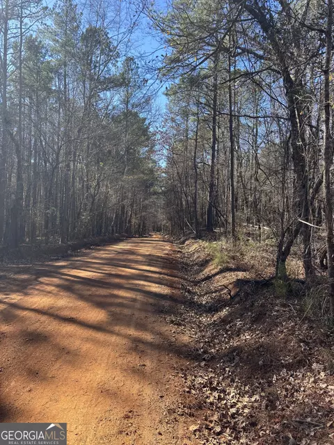 0 Carl Mathis Rd, Talbotton, GA 31827