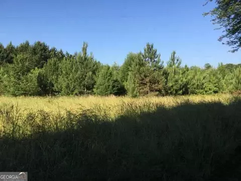 19 6 Acres Grant Rd, Fayetteville, GA 30215