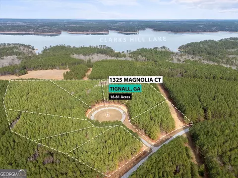 0 Magnolia Ct, Tignall, GA 30668