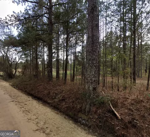 0 Nobles Rd, Chester, GA 31012