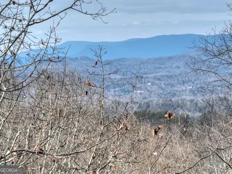 160 Hickory Trace, Ellijay, GA 30536