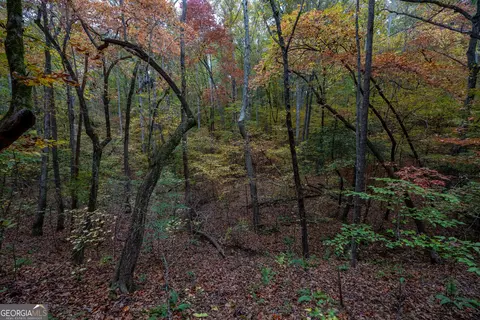 0 Bullock Bridge Rd #TRACT 1, Monroe, GA 30656
