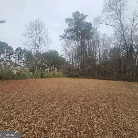 Exterior - 239 Kyndal Dr, Hampton, GA 30228 photo 3 of 4
