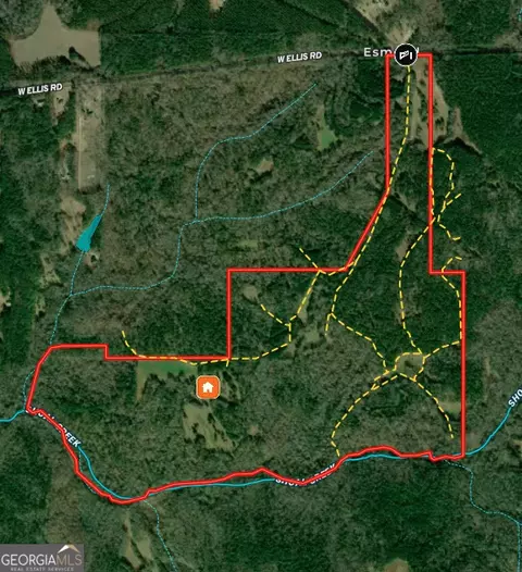 282 W 37 Ac W Ellis Rd, Griffin, GA 30223