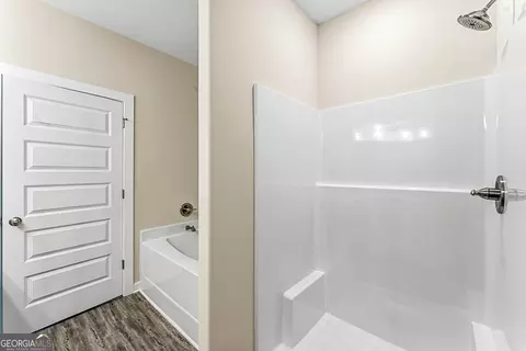 Bath - 11168 Cornerstone Way, Hampton, GA 30228 photo 6 of 7