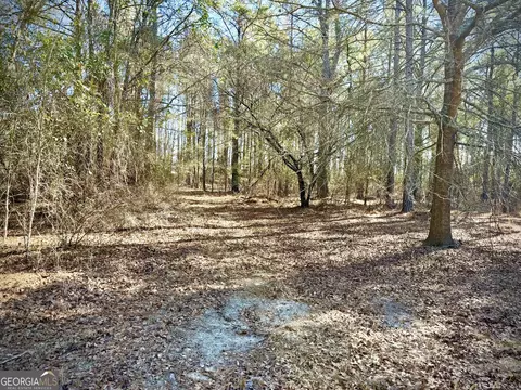114 Ohoopee Rd, Adrian, GA 31002 photo 13