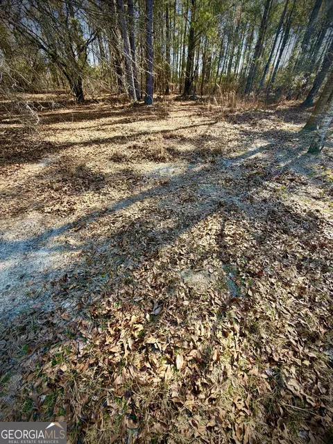 114 Ohoopee Rd, Adrian, GA 31002 photo 11