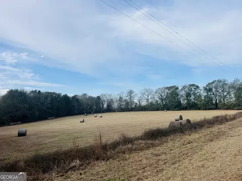 0 Fouche Rd #LOT 2B & 2C, Buena Vista, GA 31803