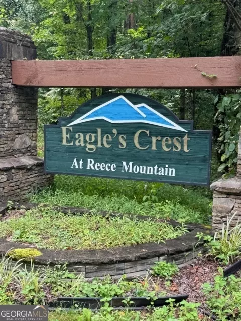 Lts 43 & 44 Reece Mountain Road, Ellijay, GA 30536