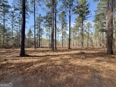 0 Mosley Bridge Rd, Claxton, GA 30417