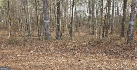 0 Lee Rd 143, Salem, AL 36874
