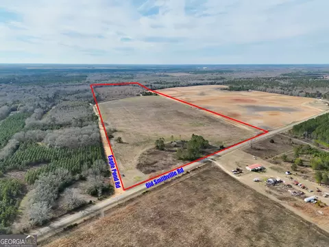 0 Eagle Pond Old Smithville Rd, Leesburg, GA 31763