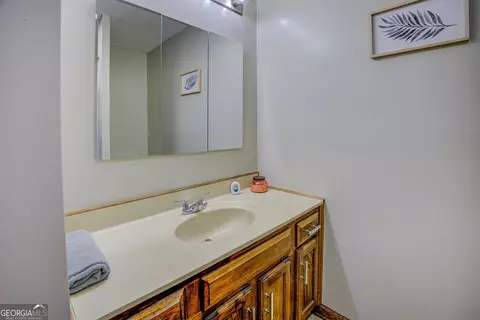 Bath - 162 Collins Rd, Jackson, GA 30233 photo 3 of 5