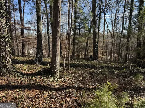 0 Old Georgia Rd, Heflin, AL 36264 photo 7