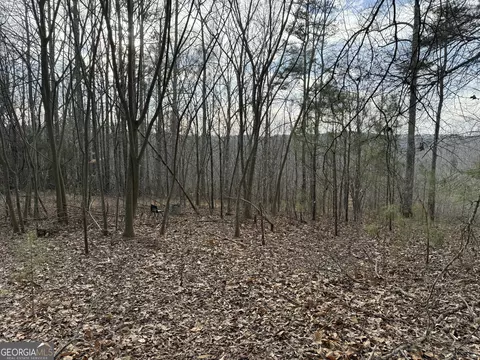 0 Old Georgia Rd, Heflin, AL 36264 photo 9