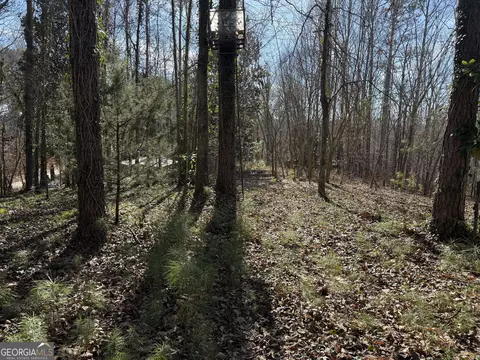0 Old Georgia Rd, Heflin, AL 36264