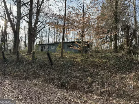0 Old Georgia Rd, Heflin, AL 36264 photo 10