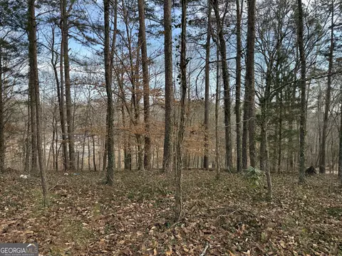 0 Old Georgia Rd, Heflin, AL 36264 photo 8