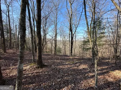 lot1640 Hunter Dr #1640, Talking Rock, GA 30175