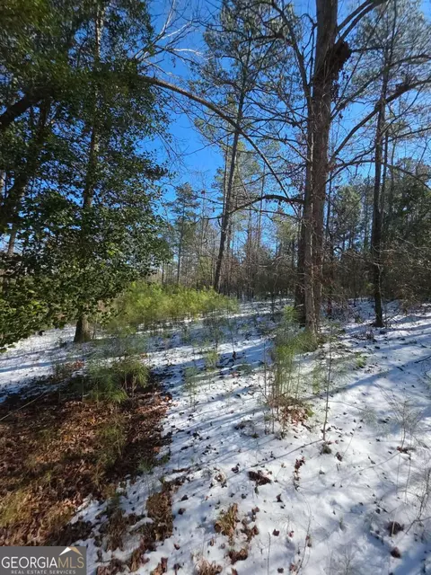 lot56 Hornets Bridge Dr, Elberton, GA 30635