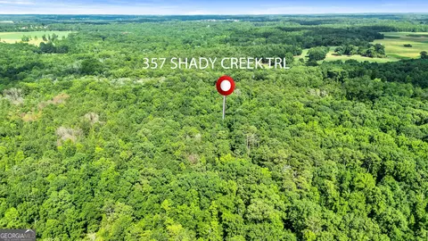 Other - 357 Shady Creek Trl, Williamson, GA 30292 photo 20 of 20