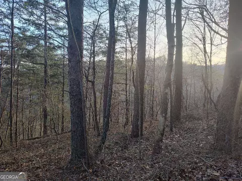 1058 Mayfield Ln, Ranger, GA 30734