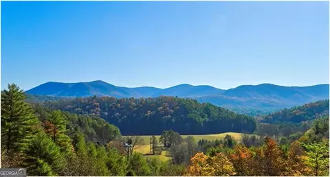 lot3 Gold Ridge Trl, Cherry Log, GA 30522