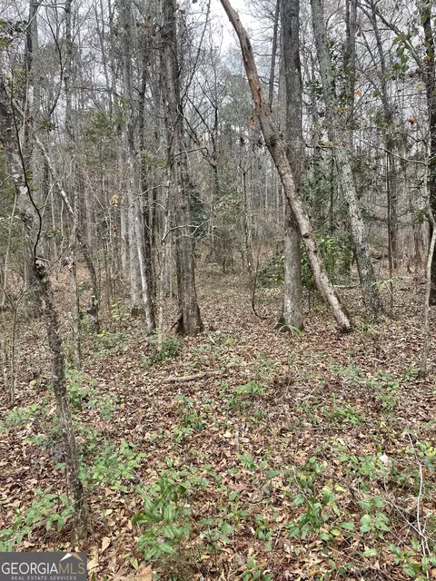 0 Hebron Church Rd #1, Thomaston, GA 30286