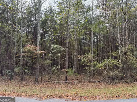 0 Cagle Rd, Fairmount, GA 30139 photo 5
