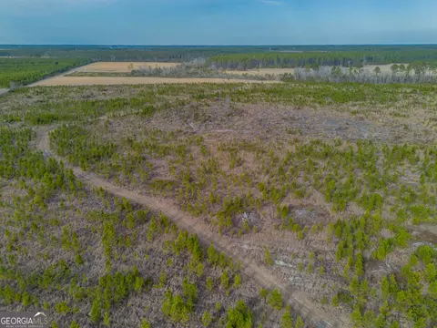 3 Reddish Road, Odum, GA 31555 photo 24