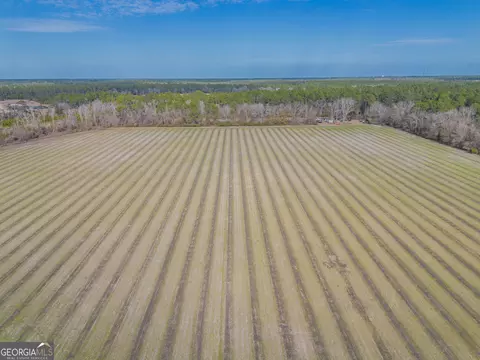 3 Reddish Road, Odum, GA 31555 photo 20